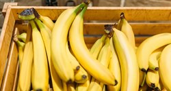Na stotine kilograma kokaina nađeno u bananama u Njemačkoj